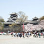 桜の時期の熊本城[提供：キロクマ！]
