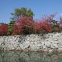 紅葉の徳島城