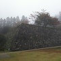 霧がかっている櫓と石垣