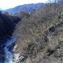 三峰川の斜面