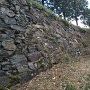 本丸、南西部の石垣