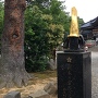 尾山神社にある兜