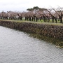 裏門橋からの水堀の眺め其の弐