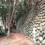 庭園の石垣