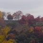 紅葉と城跡