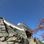 浜松城天守門と石垣