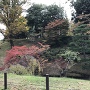 堀と紅葉