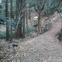山道