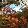 西の丸庭園から見た紅葉越しの天守