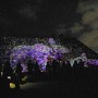 福岡城　チームラボ　城跡　光の祭