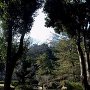 姫山公園から見た天守