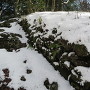 雪に覆われた石垣