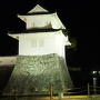 夜の三ノ丸大手隅櫓とお堀