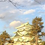 夕顔の名古屋城