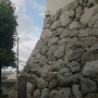 裏側の石灰岩の石垣