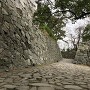 石垣と石畳の道