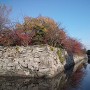 徳島城の石垣とお掘