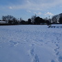 雪化粧の公園風景