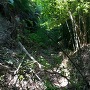 旧本丸 松尾城 登山道に木が倒れて攻城不可