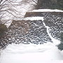 雪積もる東の丸北面石垣