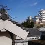 姫路城、蒼天の白鷺