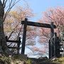 模擬冠木門と満開の桜