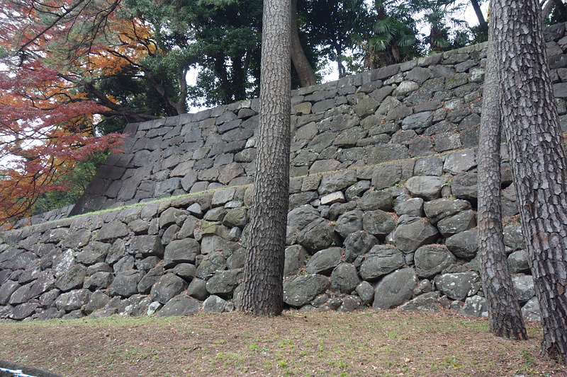 江戸城野面積み石垣
