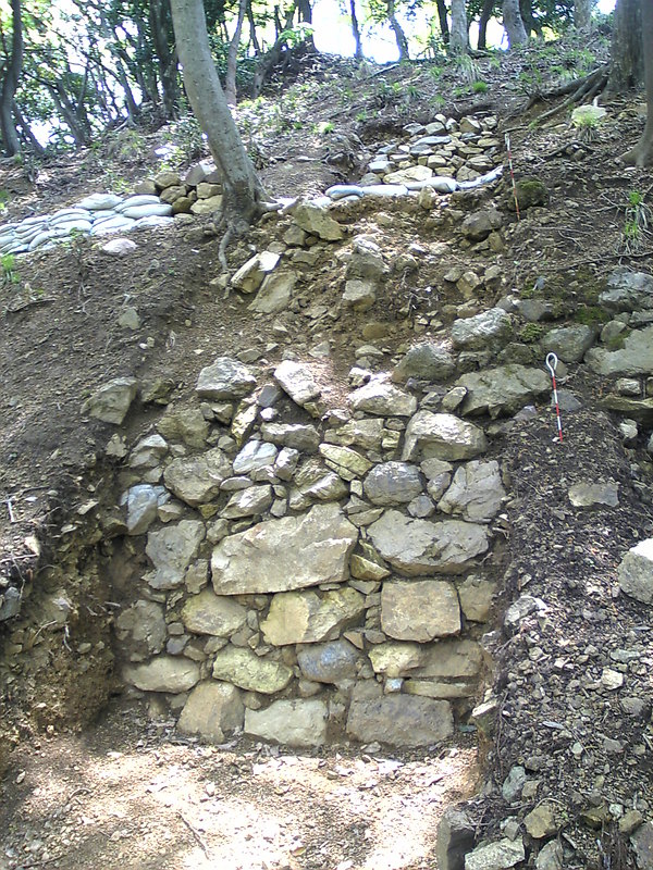 二の丸から登った本丸下帯曲輪で発掘された石垣