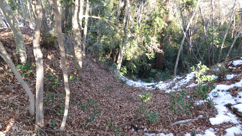 残雪の竪堀です