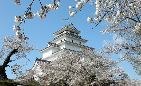 桜の間から会津若松城天守を仰ぐ