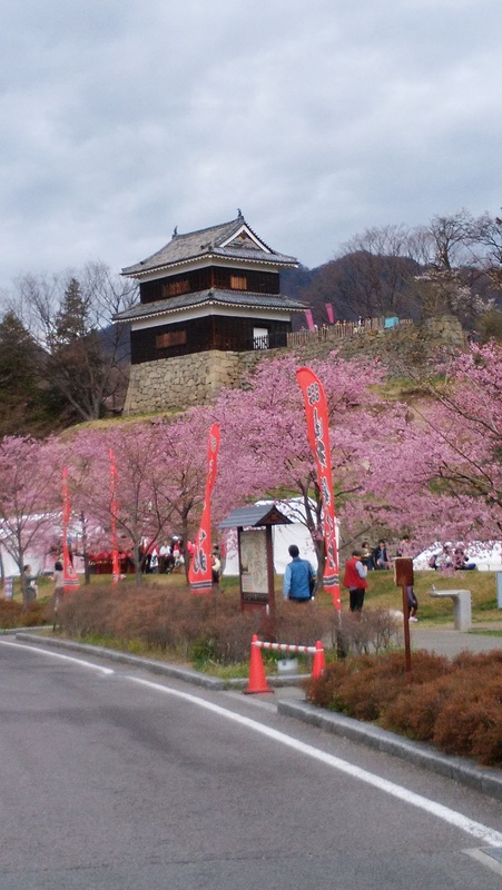 西櫓と桜