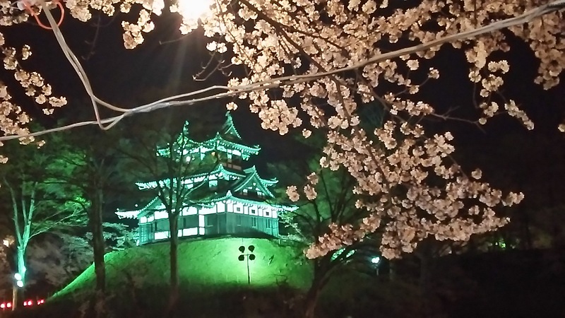 三階櫓と夜桜