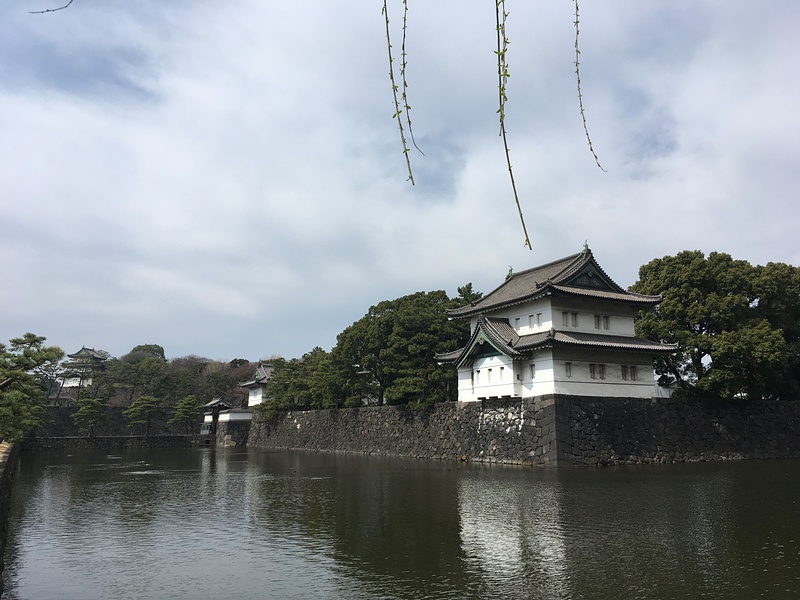 富士見櫓、桔梗紋、辰巳櫓