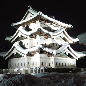 幻の新潟城 御城印 | 全国御城印コレクション | 攻城団