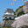 しーふど