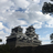 もっち
